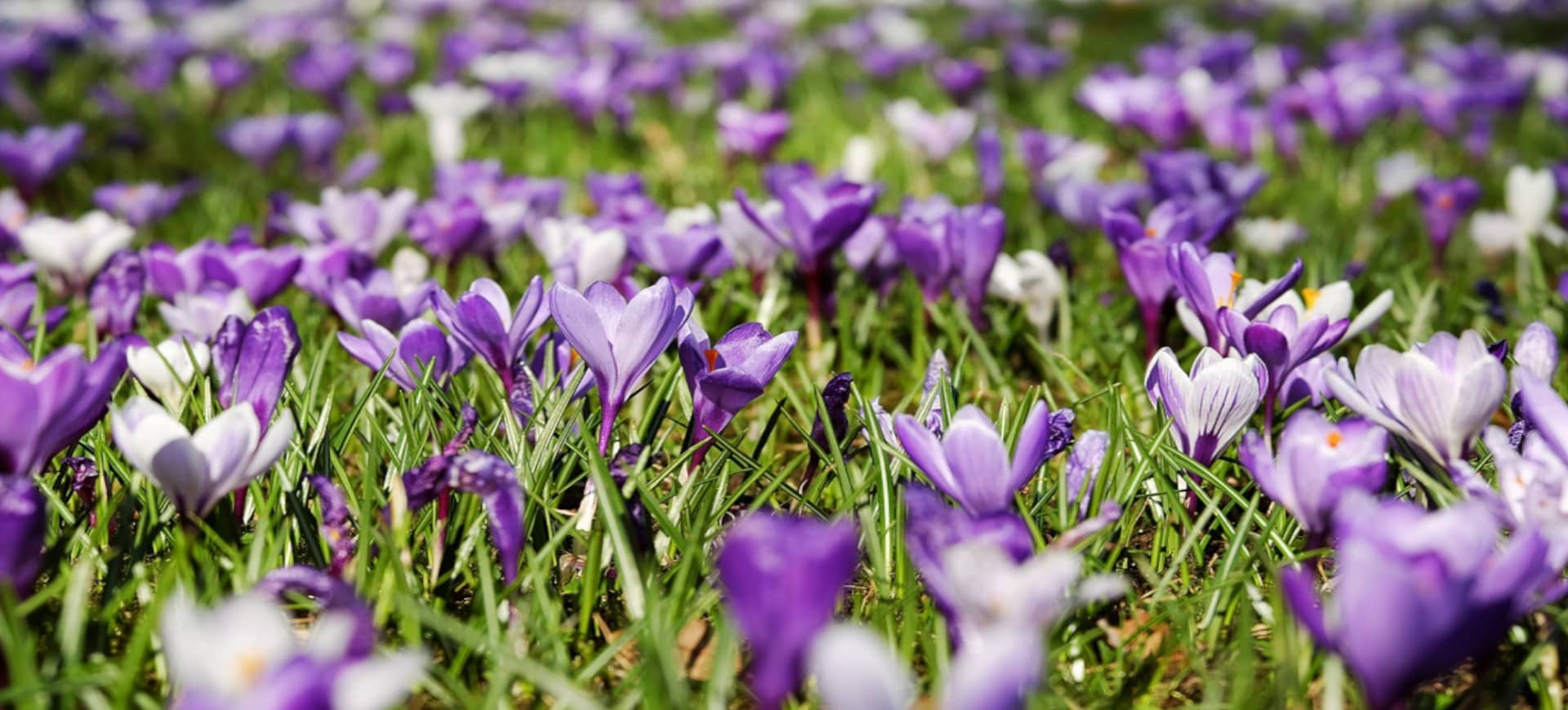 Frühling Garmisch-Partenkirchen